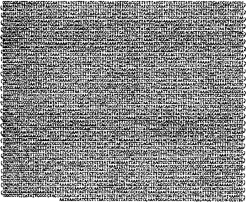 ГЕДЕЛЬ, ЭШЕР, БАХ: эта бесконечная гирлянда i_057.png