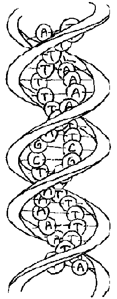 ГЕДЕЛЬ, ЭШЕР, БАХ: эта бесконечная гирлянда i_060.png