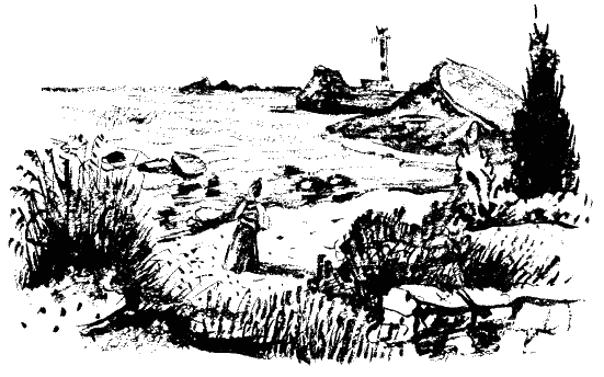 Завещание поручика Зайончковского i_040.png