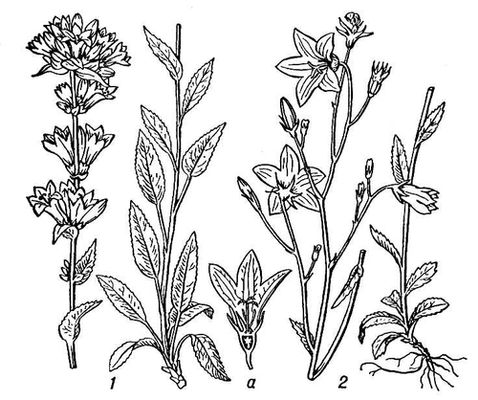 Большая Советская Энциклопедия (КО) i009-001-238724903.jpg