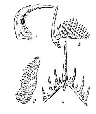 Большая Советская Энциклопедия (КО) i010-001-282132572.jpg