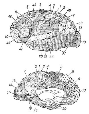 Большая Советская Энциклопедия (КО) i009-001-202303668.jpg