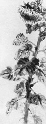 Большая Советская Энциклопедия (КО) i010-001-256085887.jpg