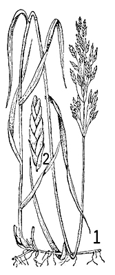 Большая Советская Энциклопедия (КО) i009-001-231632055.jpg