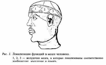 Основы нейрофизиологии i_02.png