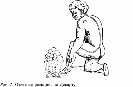 Основы нейрофизиологии i_03.png