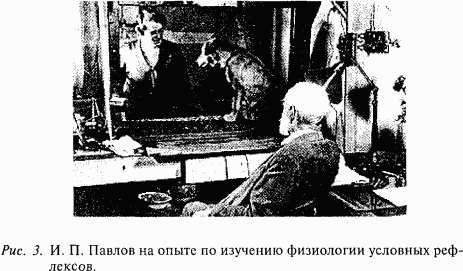 Основы нейрофизиологии i_04.png