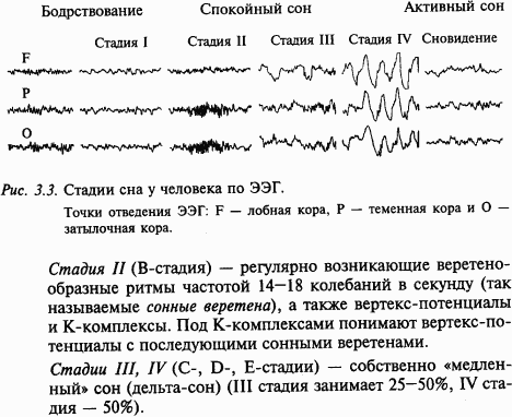 Основы нейрофизиологии i_21.png