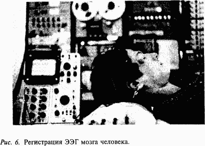 Основы нейрофизиологии i_07.png