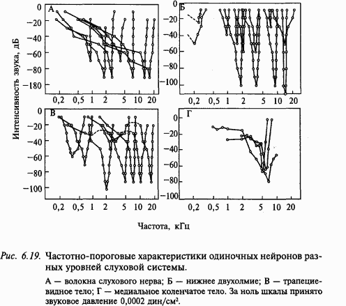 Основы нейрофизиологии i_57.png