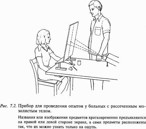 Основы нейрофизиологии i_63.png