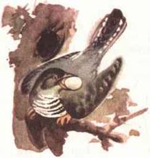 Рассказы и сказки с иллюстрациями i_014.jpg