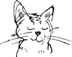 Красная книга сказок кота Мурлыки i_002.png