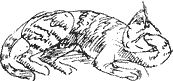 Красная книга сказок кота Мурлыки i_004.png