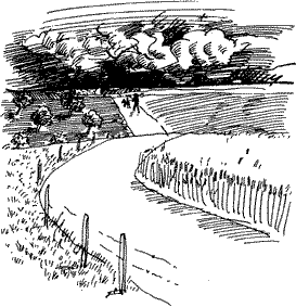 Красная книга сказок кота Мурлыки i_058.png