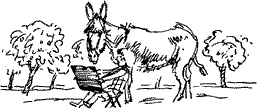 Красная книга сказок кота Мурлыки i_062.png