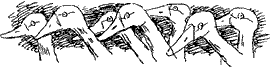 Красная книга сказок кота Мурлыки i_098.png