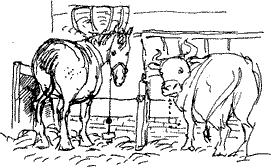 Красная книга сказок кота Мурлыки i_123.png