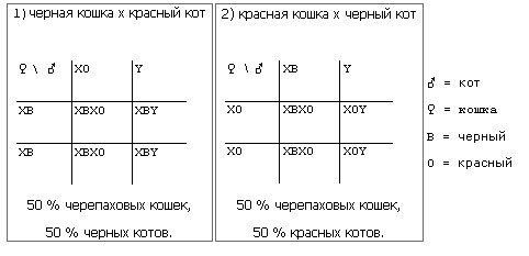 Генетика _0.jpg_0