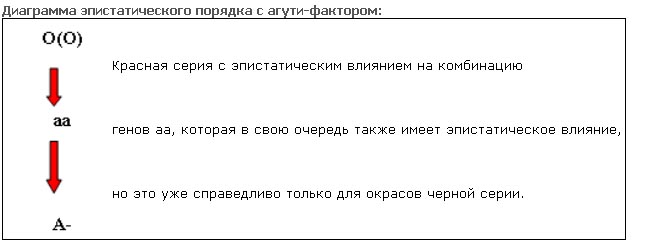 Генетика _10.jpg