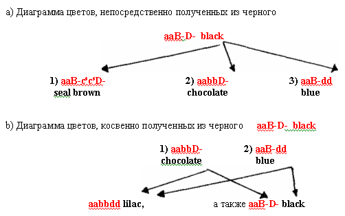 Генетика genetics2.gif