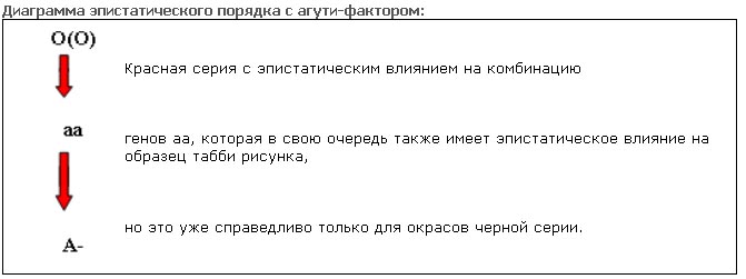 Генетика _11.jpg