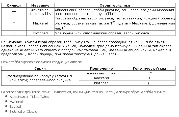 Генетика _13.jpg