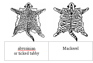 Генетика genetics5.gif