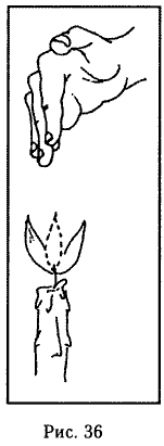 Сексуальная энергетика Дао i_020.png