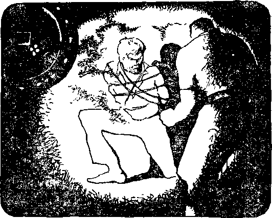 Рыцари свастики i_016.png