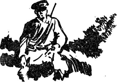 Годы, тропы, ружье _45.jpg