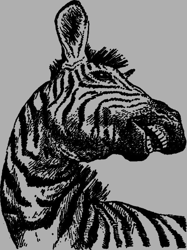 Серенгети не должен умереть any2fbimgloader27.png