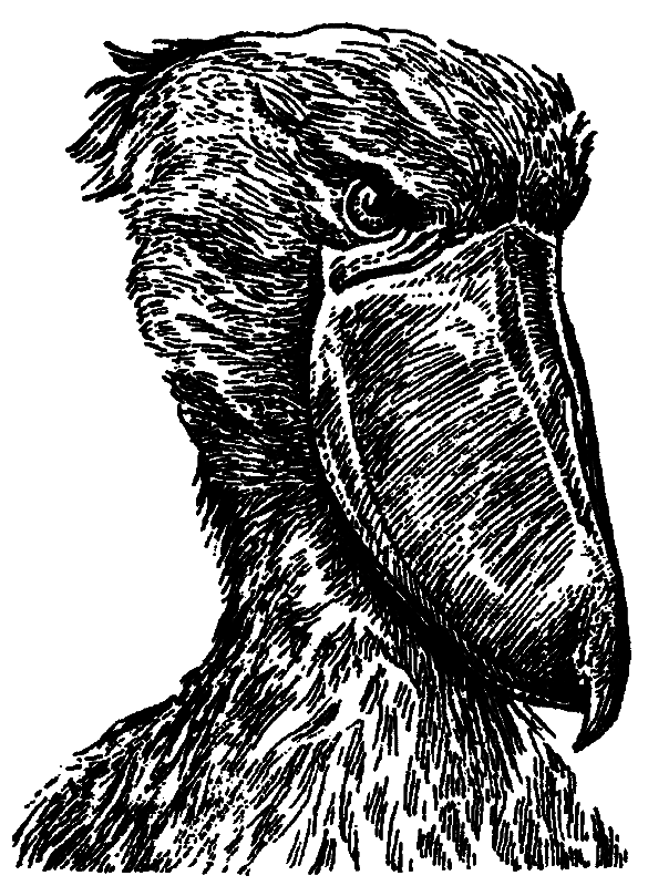 Серенгети не должен умереть any2fbimgloader3.png