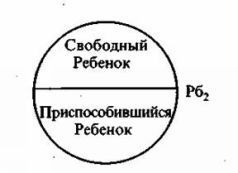 Психотерапия нового решения. Теория и практика pic_4.jpg