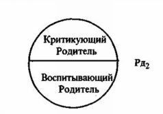 Психотерапия нового решения. Теория и практика pic_8.jpg
