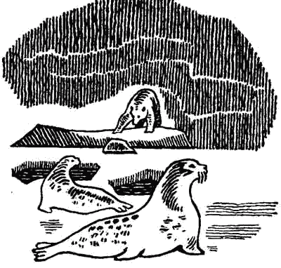 Родина белых медведей i_035.png