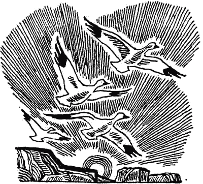 Родина белых медведей i_041.png
