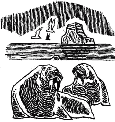Родина белых медведей i_059.png