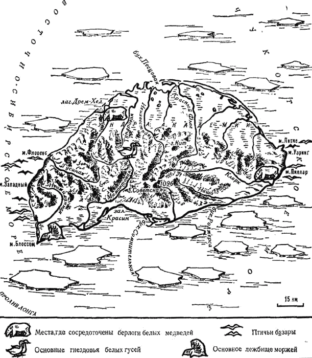 Родина белых медведей i_006.png