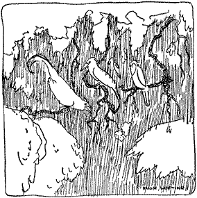 Доктор Дулитл на Луне i_034.png