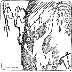 Доктор Дулитл на Луне i_012.png