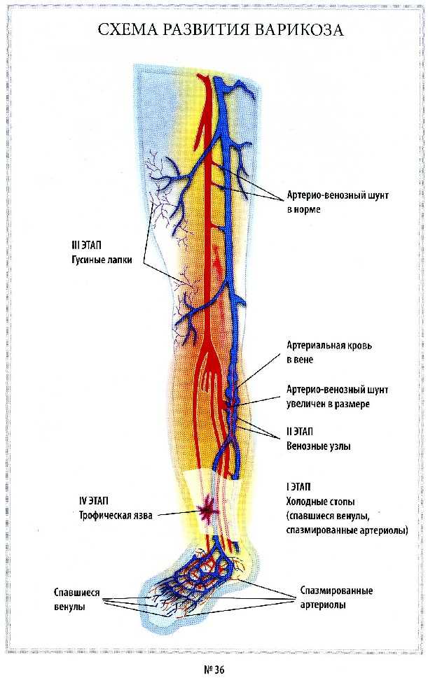 Искусство врачевания i_023.jpg