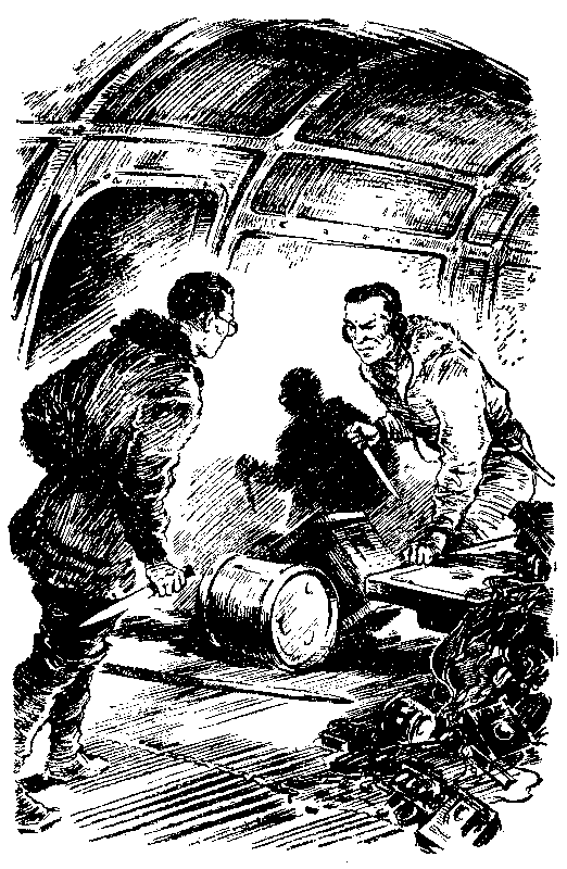 Арктический мост pic_46.png