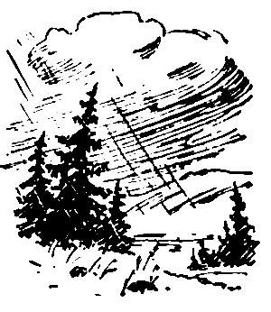 Чистое золото pic_8.png