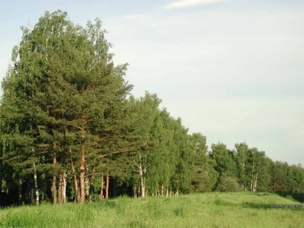 Сборник произведений doc2fb_image_02000007.jpg