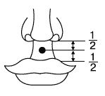 Законы полноценного здоровья _065_1.png