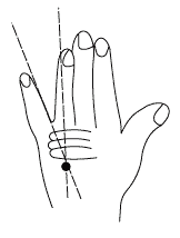 Законы полноценного здоровья _065_3.png