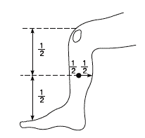 Законы полноценного здоровья _070_2.png