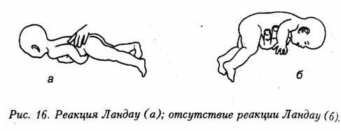 Искусство не стареть image11.jpg