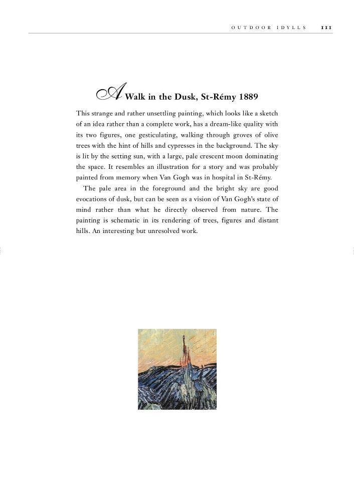 Through the eyes of Vincent Van Gogh _111.jpg